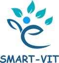Smart-Vit